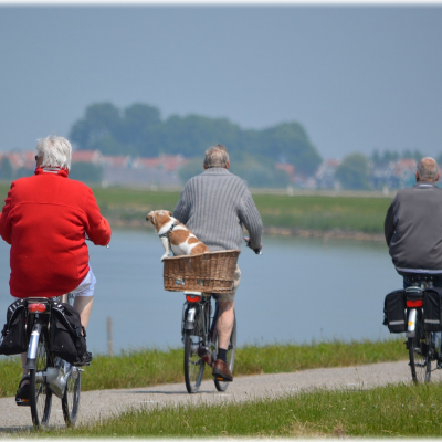 SEGURO TOKIO MARINE –  VIDA seguro_tokio_marine_–__vida_16_3_2021.png